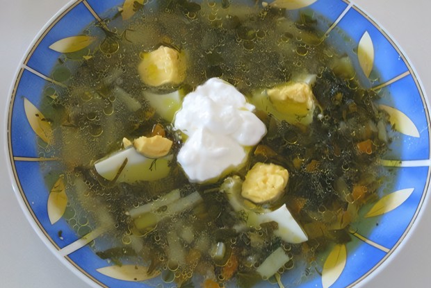 Щи из щавеля на курином бульоне