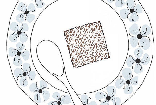 Шоколадно-кофейные квадратики (kärleksmums)