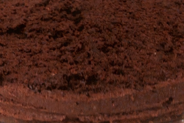 Шоколадно-шоколадный торт