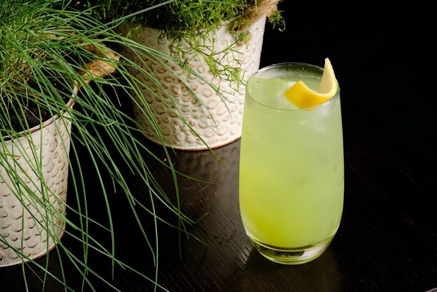 Шприц с зеленым горошком