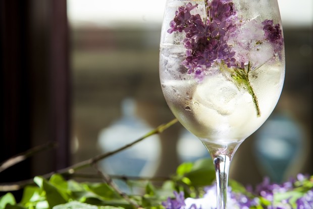 Сиреневая сангрия от шеф-бармена Mercedes bar Артема Аверина