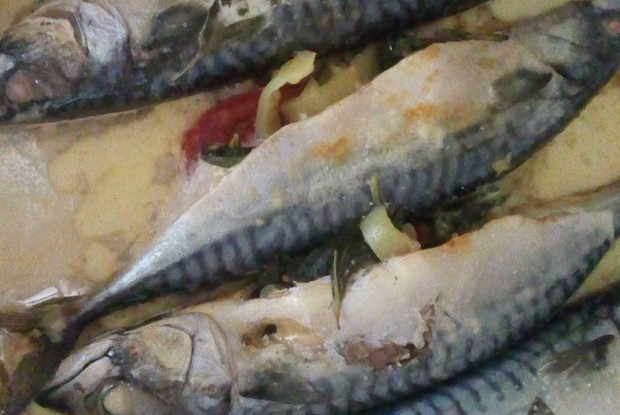 Скумбрия с овощами в духовке