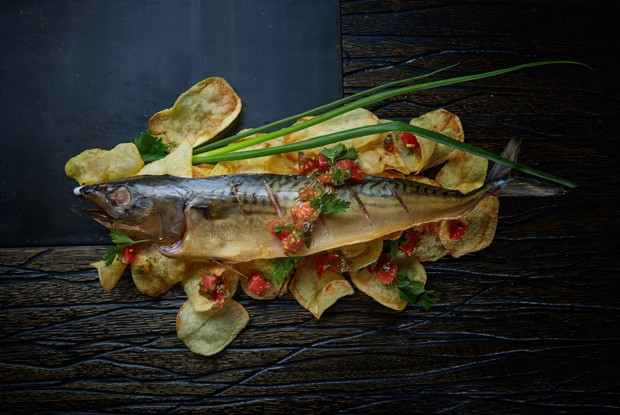 Скумбрия копченая с домашними чипсами и красной сальсой