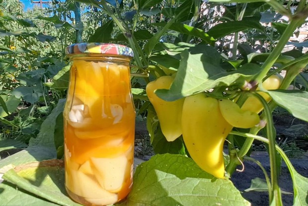 Сладкий перец на зиму