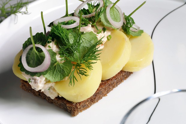 Смёрребрёд с курицей и маринованным луком