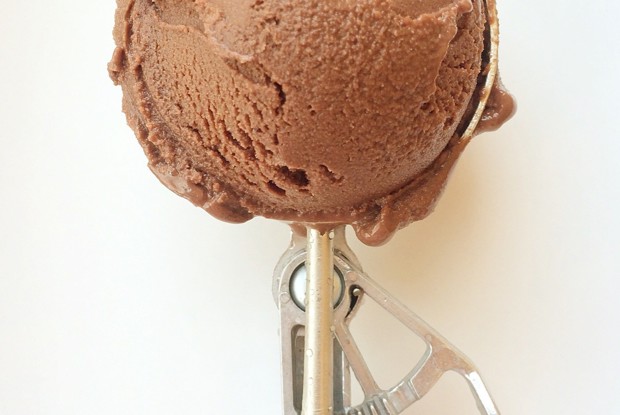 Соевое шоколадное мороженое