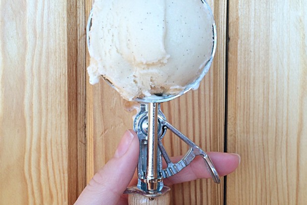 Соевое ванильное мороженое