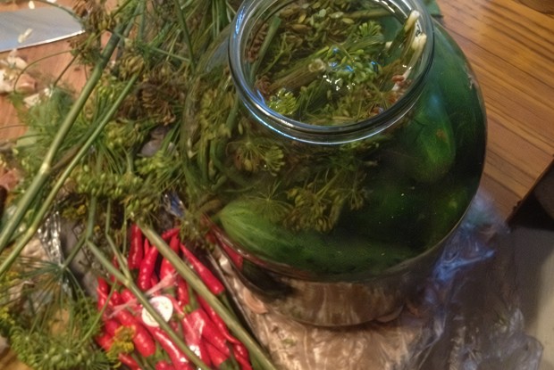 Соленые огурцы с эстрагоном и листьями