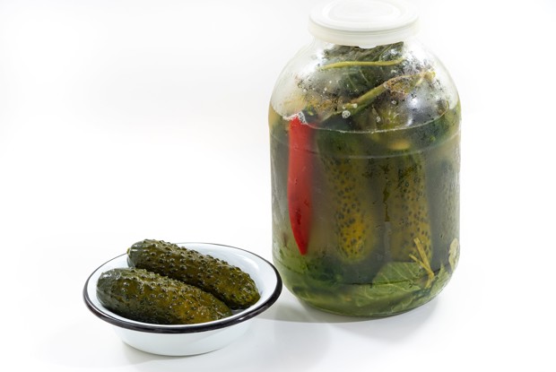 Соленые огурцы на зиму