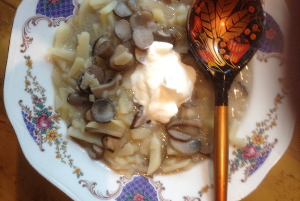 Солянка грибная