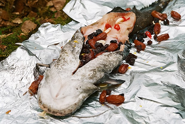 Сом с финиками и изюмом на углях