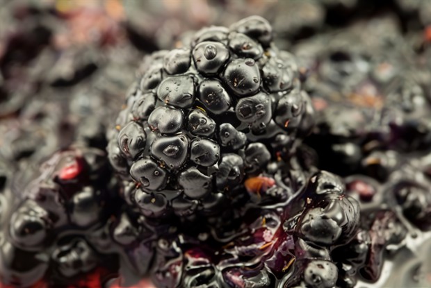 Соус из ежевики и неспелого винограда