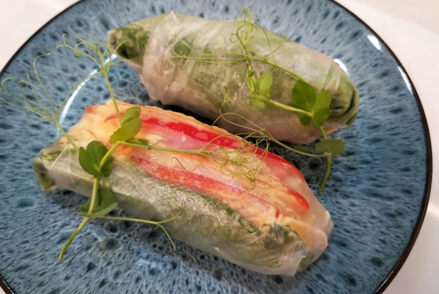 Спринг-роллы с курицей