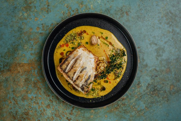 Стейк из судака с цветной капустой и соусом карри