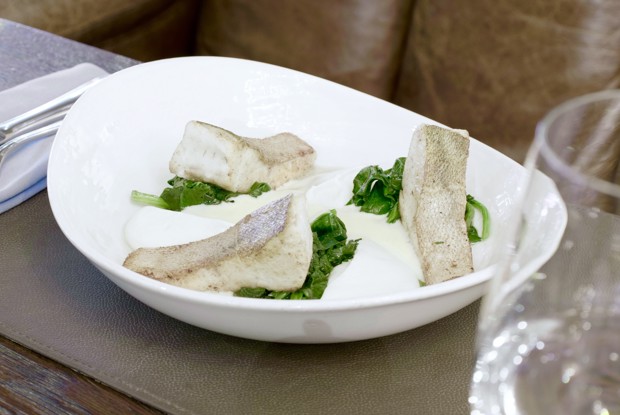 Судак с соусом из белого вина