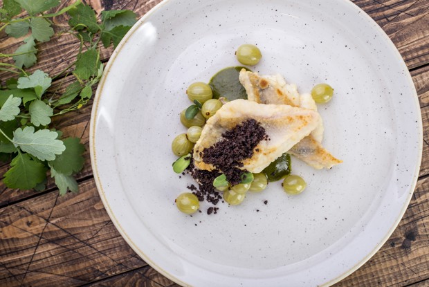 Судак с ткемали из моченого крыжовника