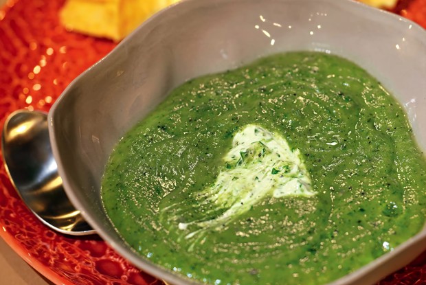 Суп из цукини с мятой