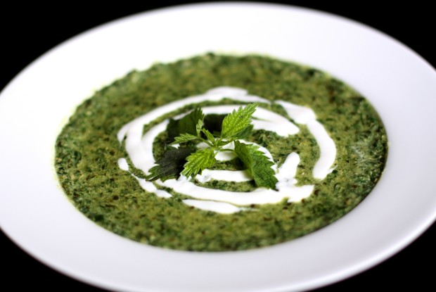 Суп из крапивы и щавеля