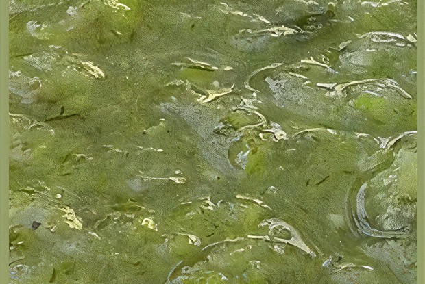 Суп из лука-порея и картофеля