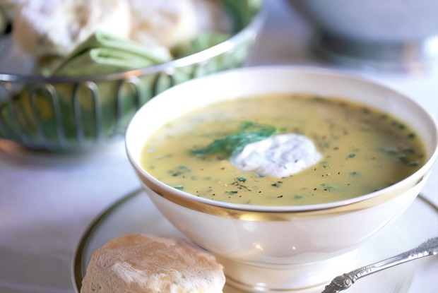 Суп из нута, перца чили и кориандра