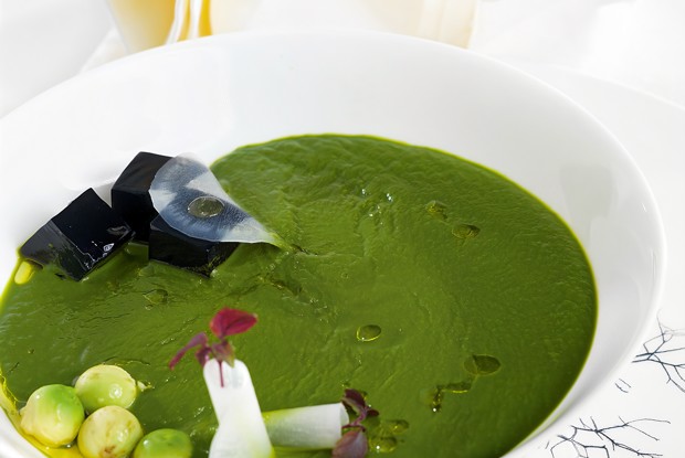 Суп из щавеля с желе из краснокочанной капусты