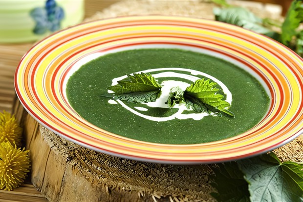 Суп-пюре из крапивы