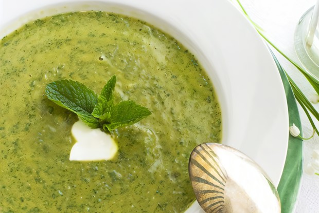 Суп-пюре из стручков фасоли