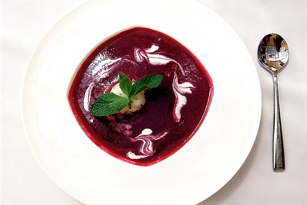 Суп-пюре из свежих ягод