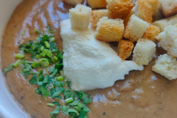 Суп-пюре из сушеных лесных грибов