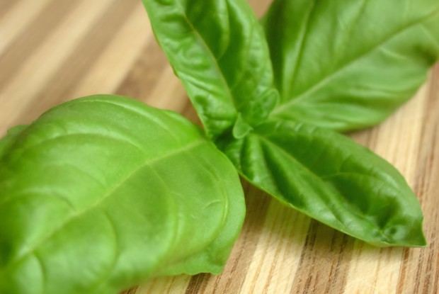 Свежий базиликовый лимонад