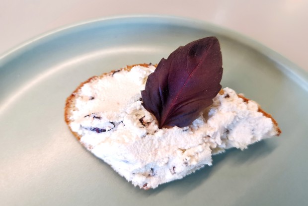 Сыр филадельфия с красным базиликом