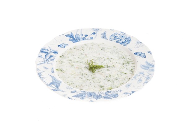 Болгарский холодный суп таратор