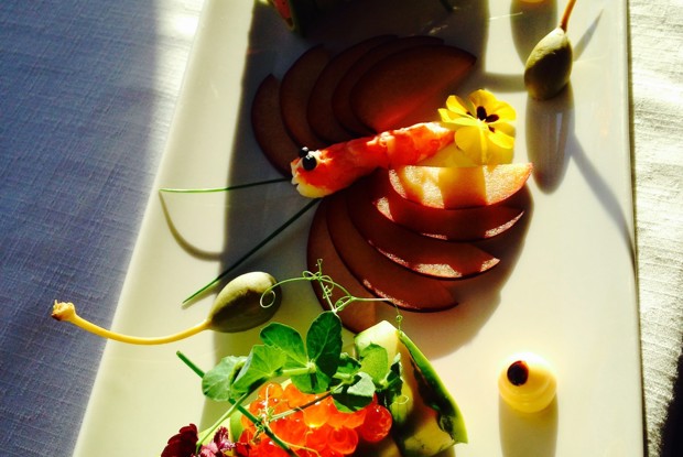 Тартар из тунца в авокадо