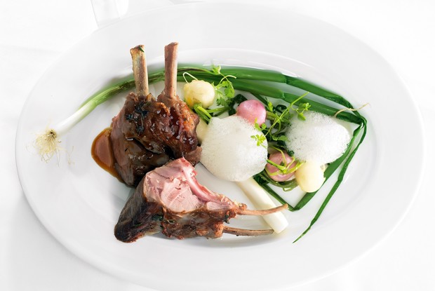 Телятина с томлеными корнеплодами и пеной из пармезана