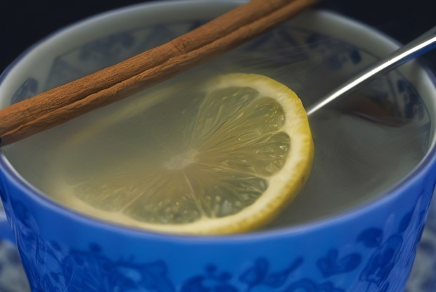 Теплый домашний лимонад с корицей