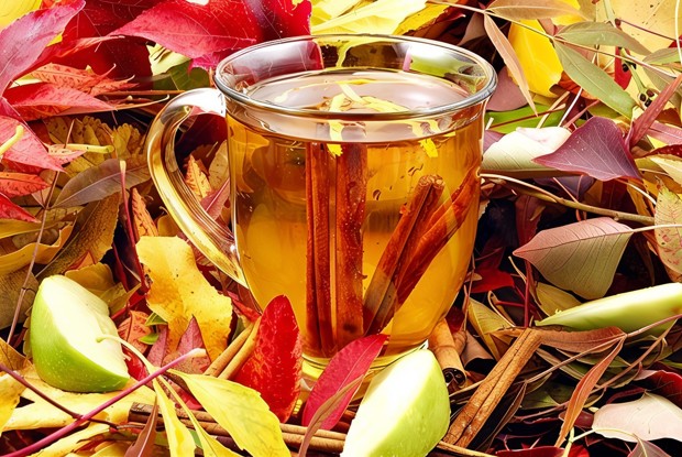 Теплый сидр