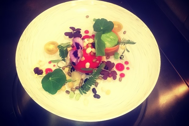 Террин из утки с фасолью