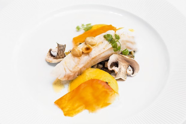 Тюрбо с пеной из сладкого картофеля и фрикасе из шампиньонов