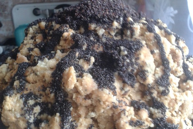 Торт «Муравейник» с маком