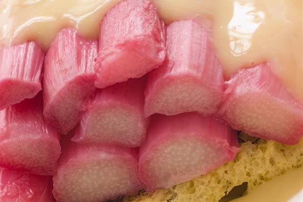 Тосты с ревенем