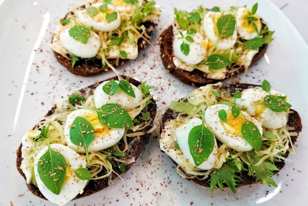 Тосты с сыром, яйцом и базиликом