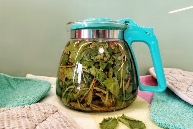 Травяной отвар с розовым перцем