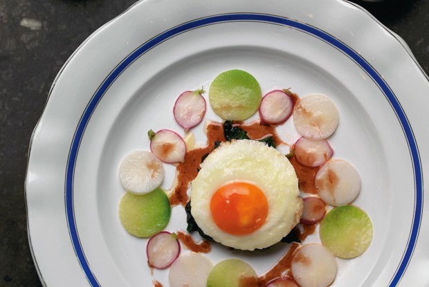 Три вида редиса с яйцом и шпинатом