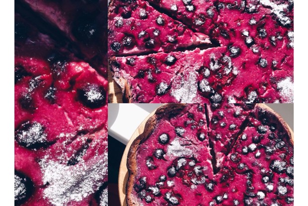 Творожный брауни с черной смородиной «Chocolate Blackcurrant»