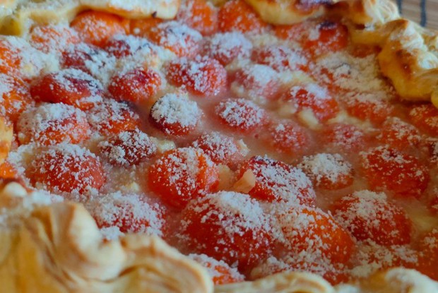 Творожный пирог с абрикосами