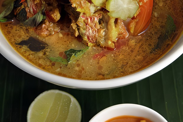 Уха из морского ангела