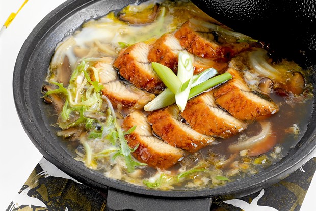 Унаги-янагава