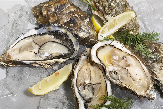 Устрицы с яблочно-перечным соусом