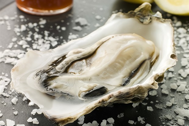 Устрицы в ракушках с восточным соусом миньонет