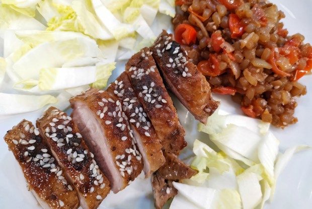 Утиная грудка с рисом ширатаки